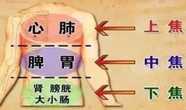 敲打三焦经视频,视频教程详解